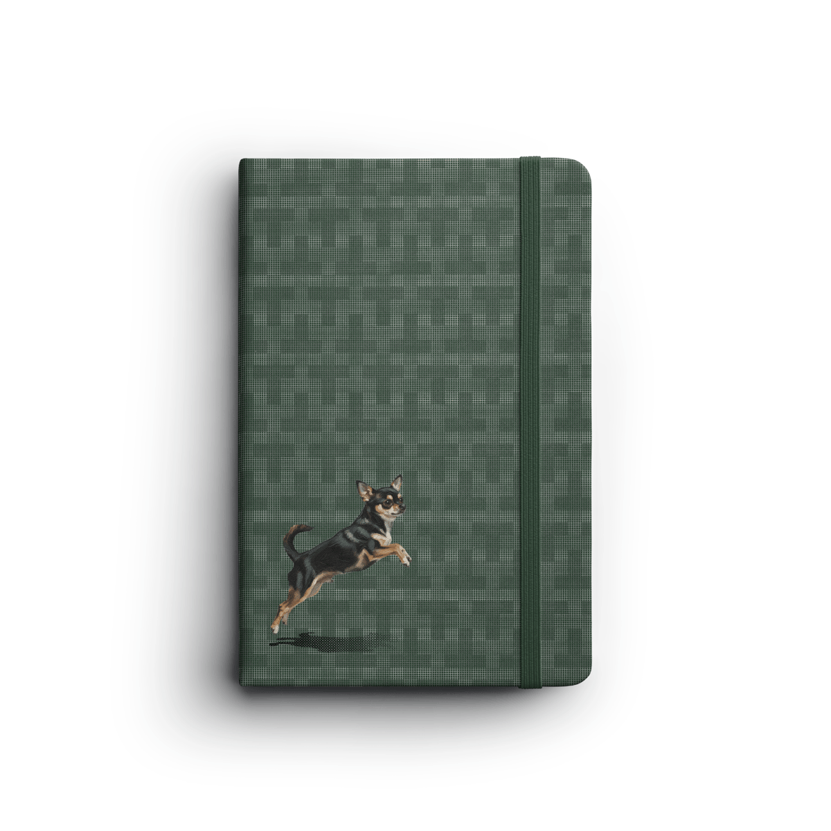 Woof Club 5