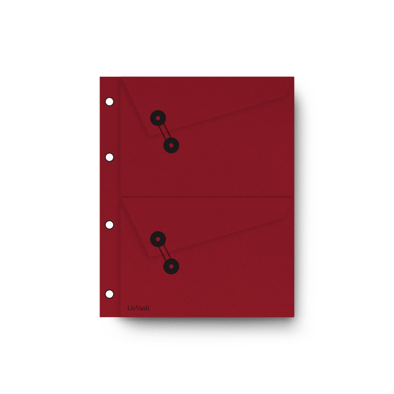 LivVault Premium 6