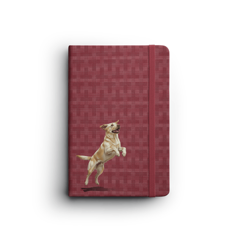 Woof Club 2