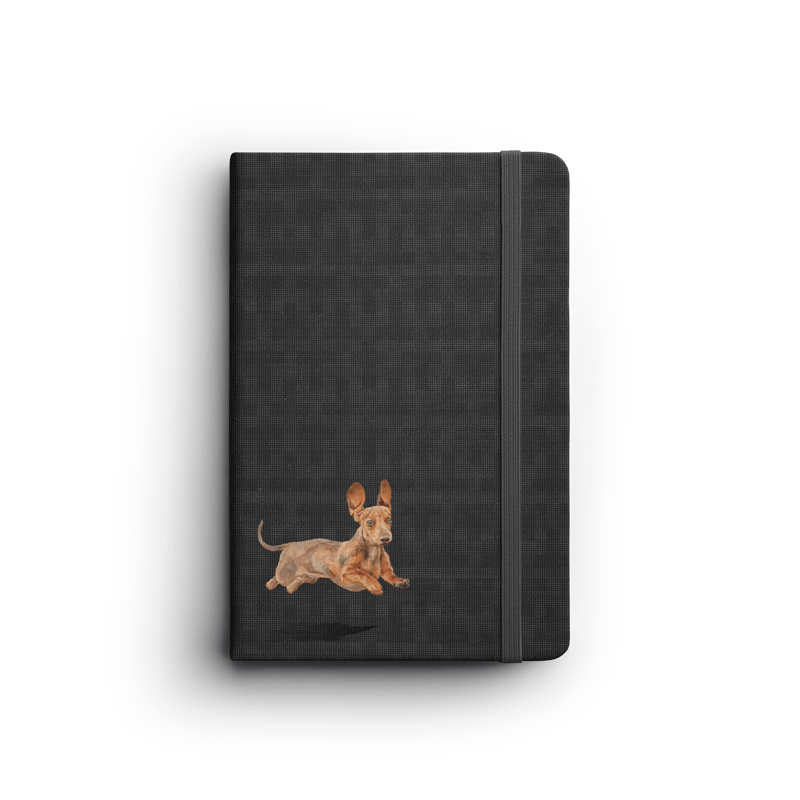 Woof Club 10